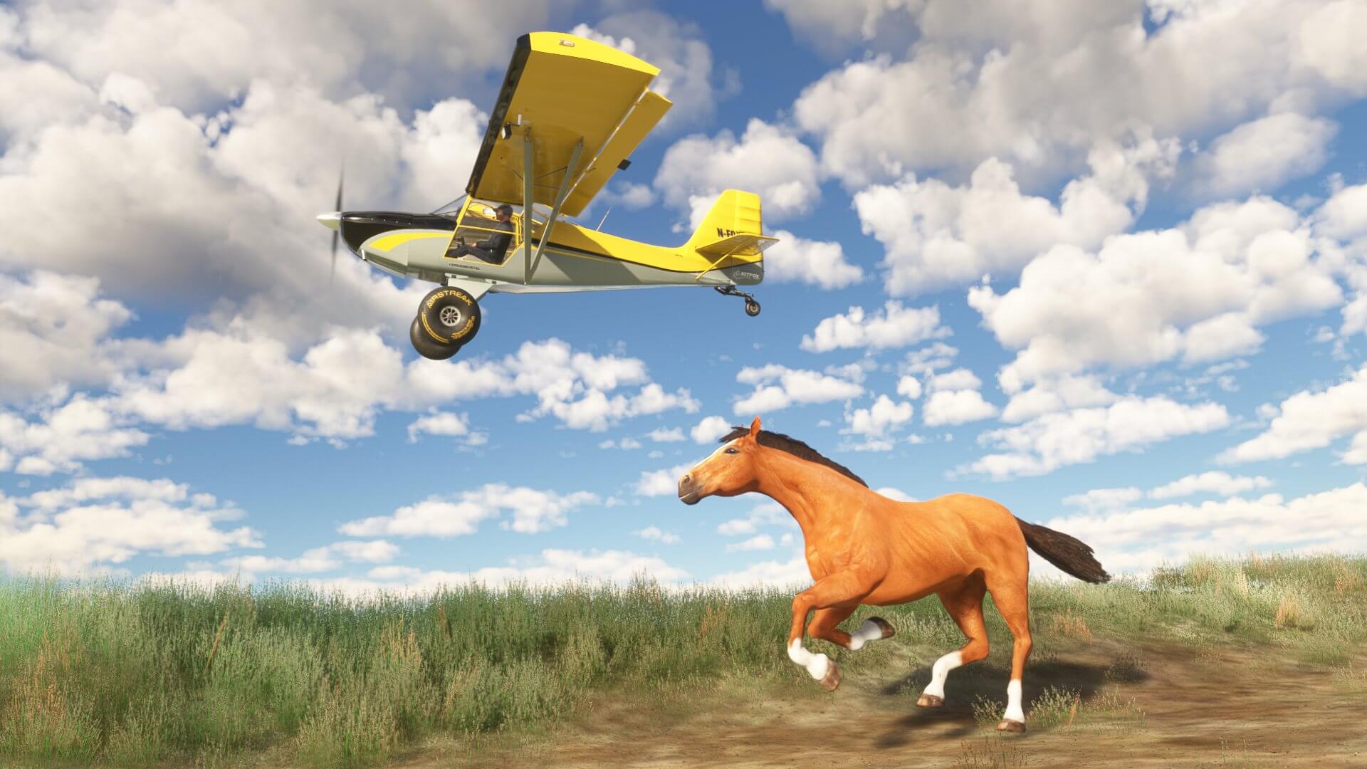 A yellow Kitfox aircraft races a galloping horse below across a field