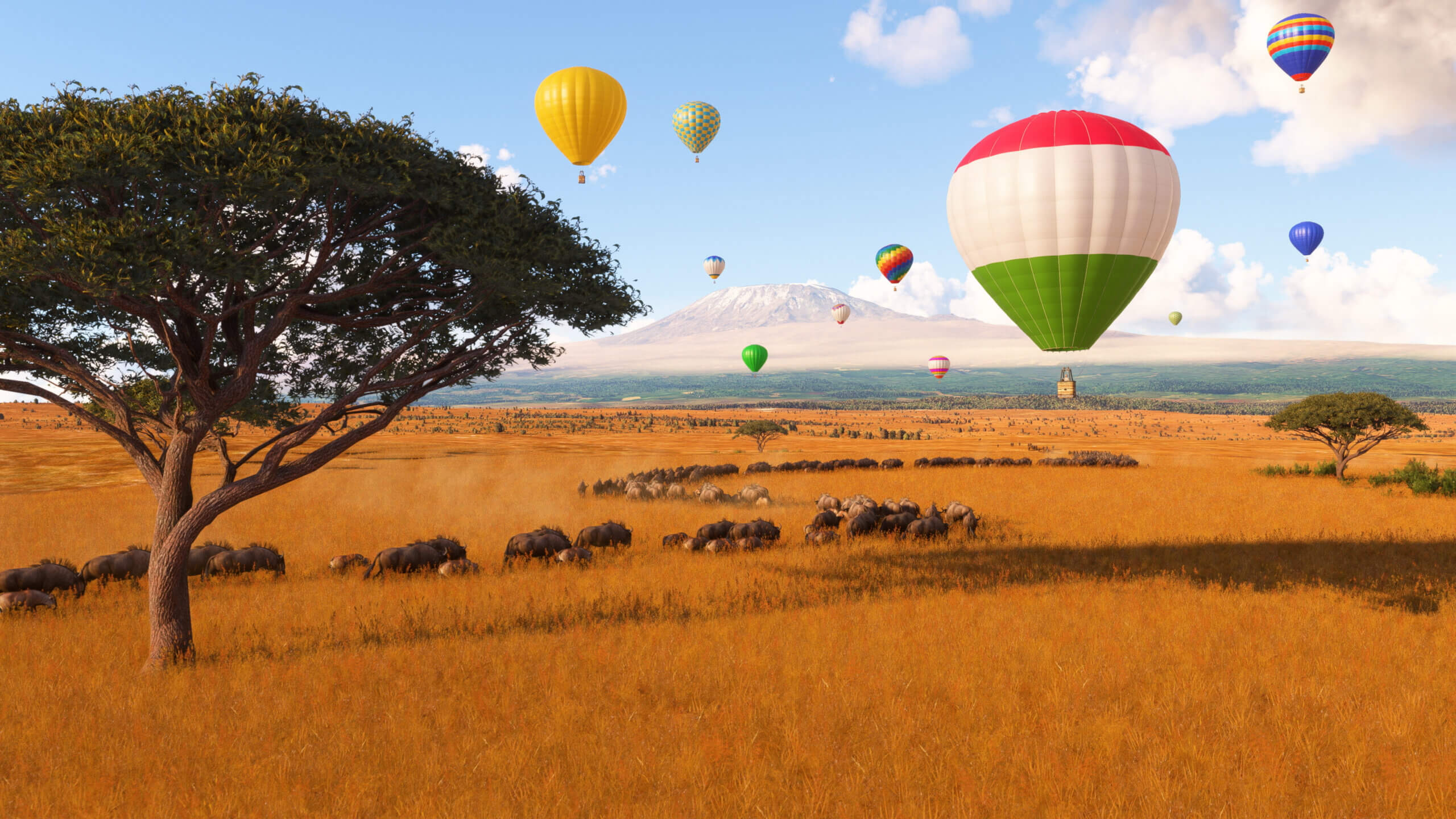 MSFS 2024 Release Image