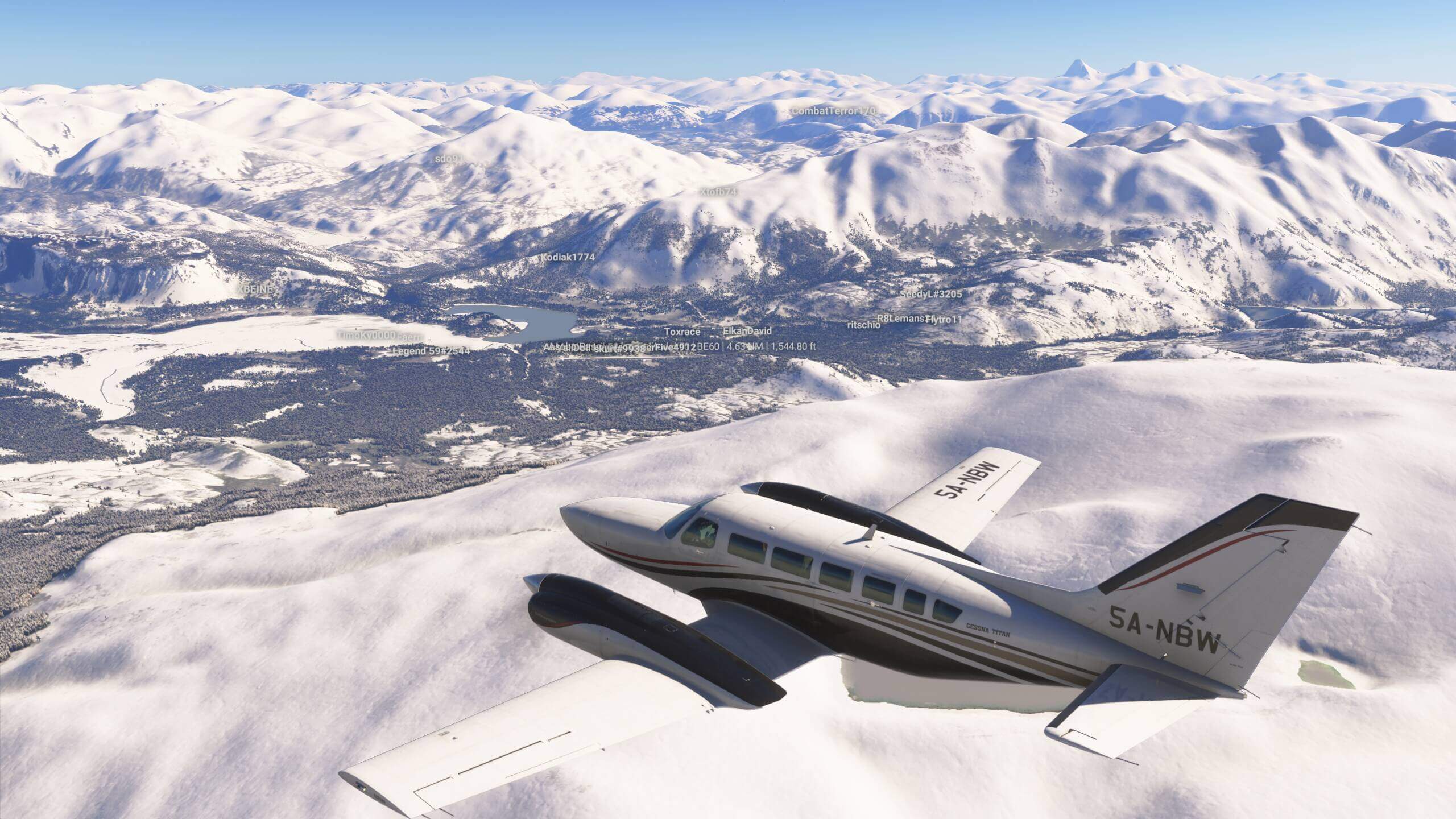 Community fly-in Friday group flight screenshot