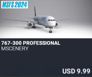 767-300 Professional by mscenery. USD $9.99